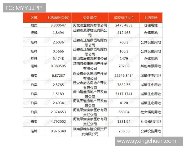 七月体育品牌崛起的背后故事与市场趋势分析