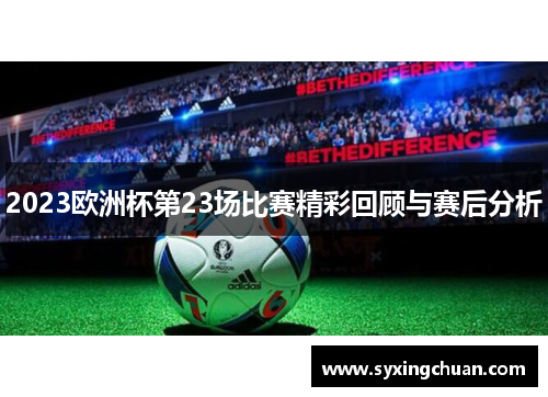 2023欧洲杯第23场比赛精彩回顾与赛后分析