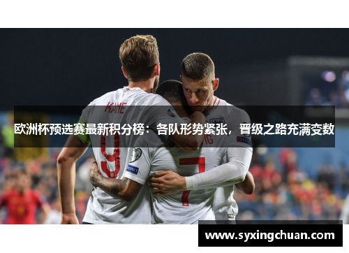 欧洲杯预选赛最新积分榜：各队形势紧张，晋级之路充满变数