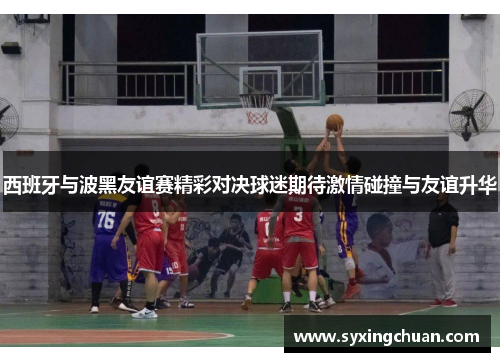 西班牙与波黑友谊赛精彩对决球迷期待激情碰撞与友谊升华